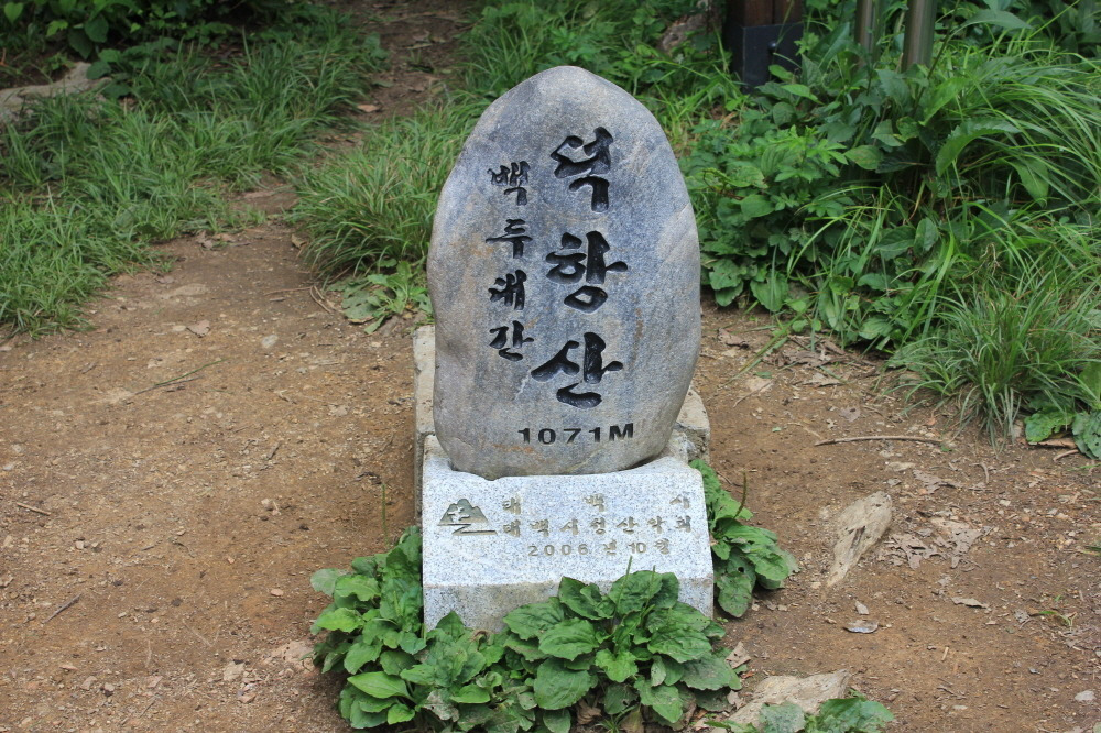 178037931111258.jpg