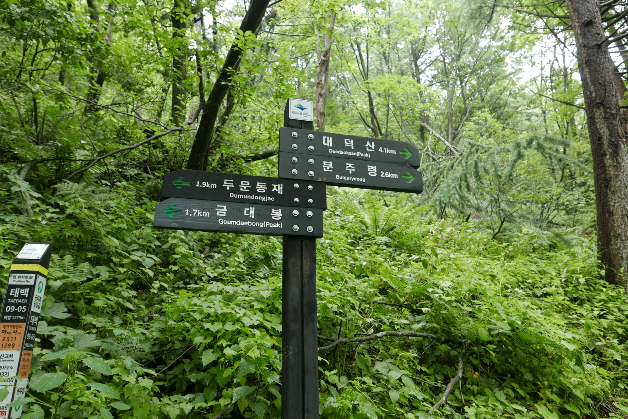 178038829741453.jpg