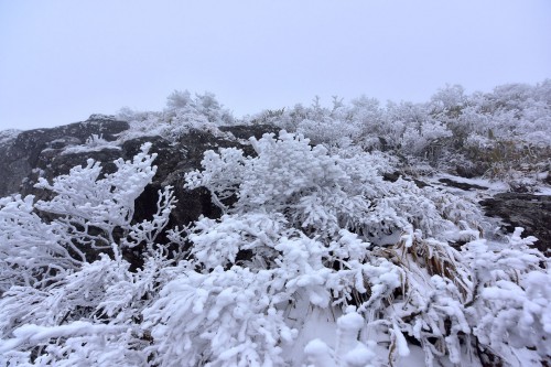 경인웰빙 눈꽃산행