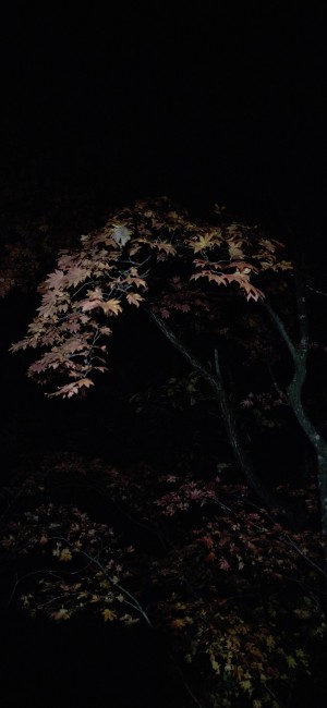 [토요무박] 설악산 대청봉 & 공룡능선