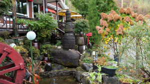 치악산 비로봉 & 구룡사